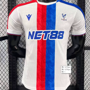 2526 Crystal Palace Second away Player version