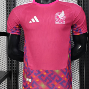 Player Version 2026 Mexico Pink Training Jersey